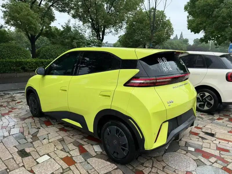 Seagull 2023 Vitality Edition — миниатюра 4