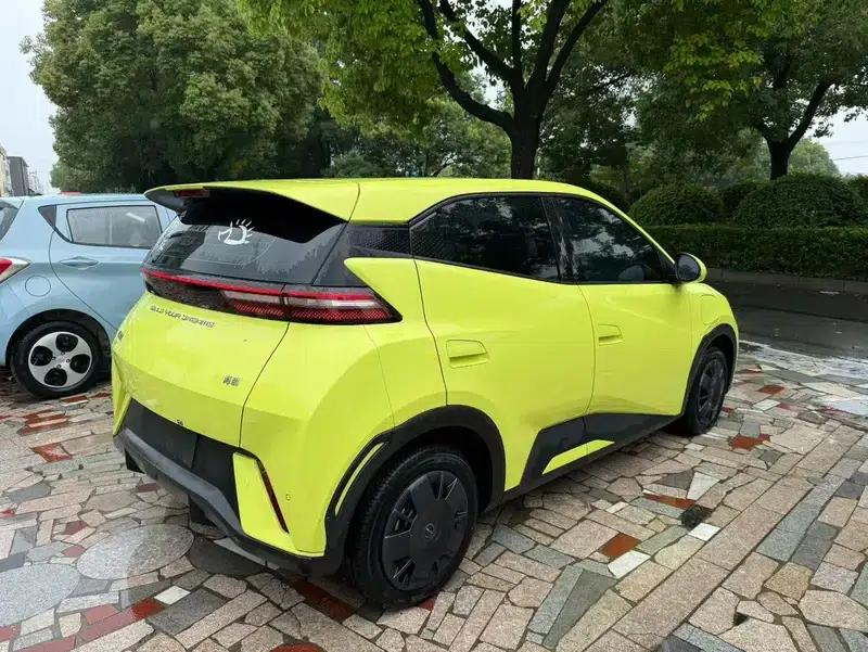 Seagull 2023 Vitality Edition — миниатюра 6
