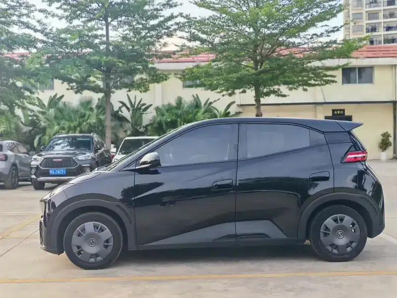 Seagull 2024 Glory Edition 305KM Vitality Edition — миниатюра 4