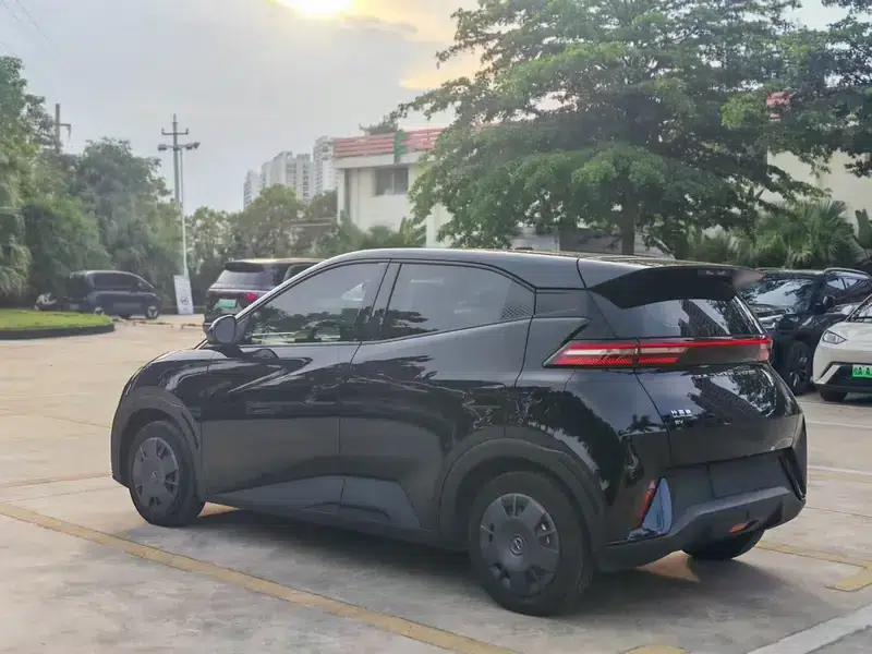 Seagull 2024 Glory Edition 305KM Vitality Edition — миниатюра 5