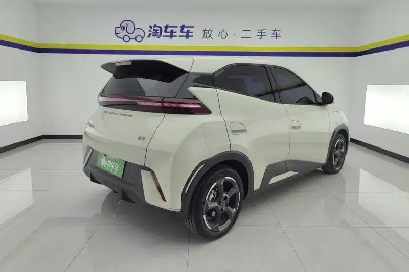 Seagull 2023 Freedom Edition — миниатюра 3