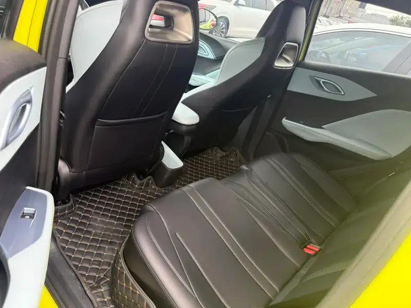 Seagull 2024 Glory Edition 305KM Freedom Edition — миниатюра 15