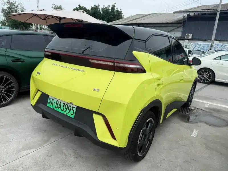 Seagull 2024 Glory Edition 305KM Freedom Edition — миниатюра 6