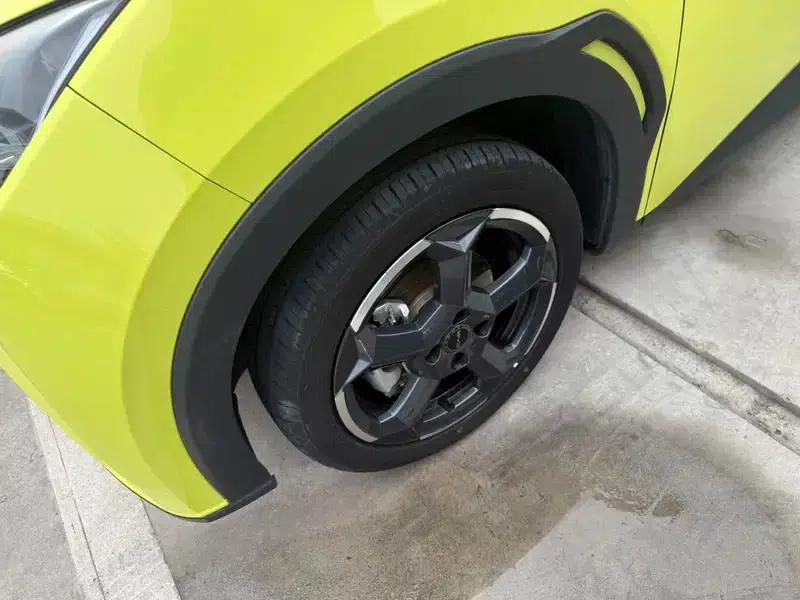 Seagull 2024 Glory Edition 305KM Freedom Edition — миниатюра 8