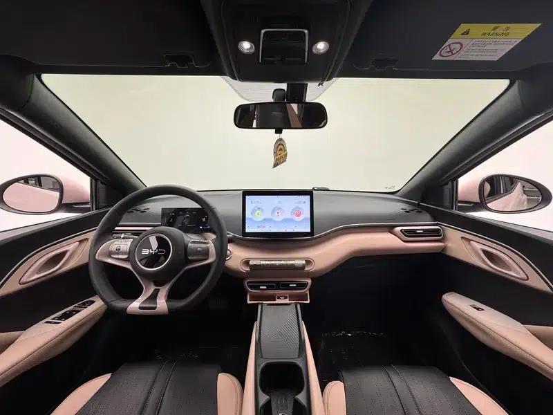 Seagull 2025 305KM Vitality Edition — миниатюра 14
