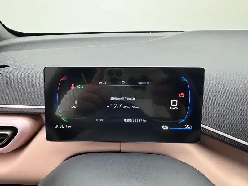 Seagull 2025 305KM Vitality Edition — миниатюра 15