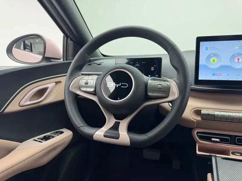 Seagull 2025 305KM Vitality Edition — миниатюра 16