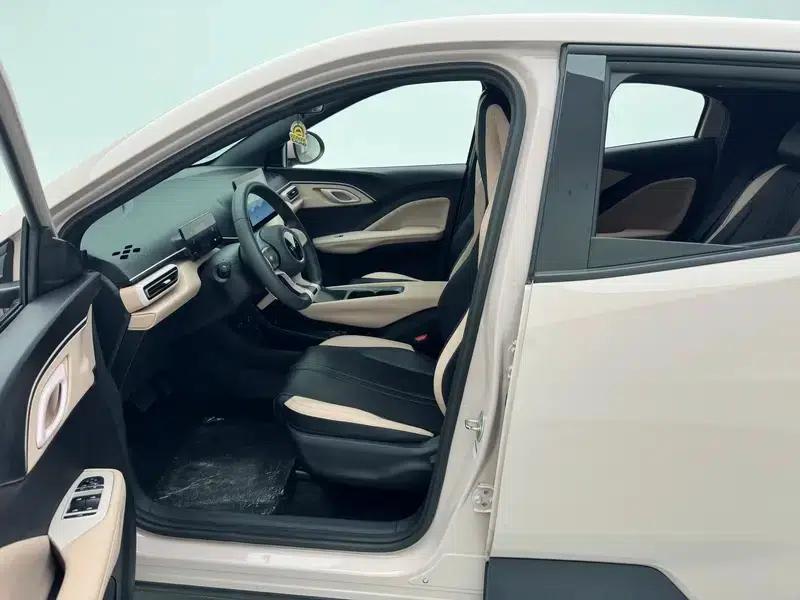 Seagull 2025 305KM Vitality Edition — миниатюра 19