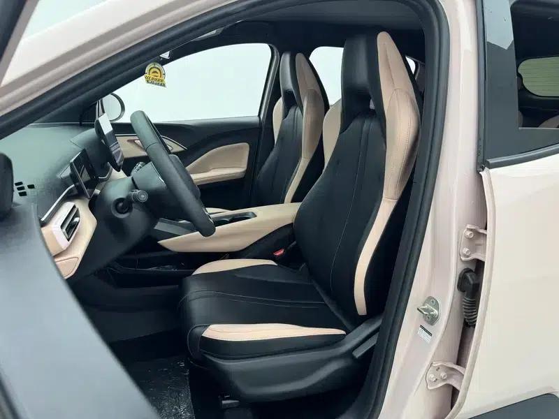 Seagull 2025 305KM Vitality Edition — миниатюра 20