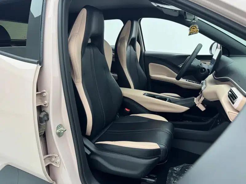 Seagull 2025 305KM Vitality Edition — миниатюра 21