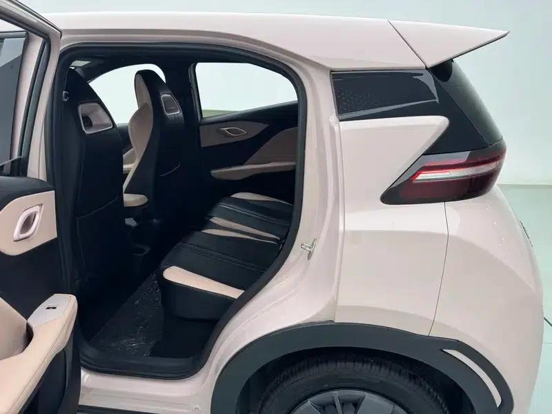 Seagull 2025 305KM Vitality Edition — миниатюра 22