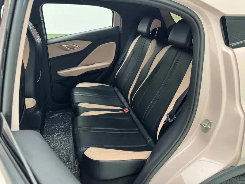 Seagull 2025 305KM Vitality Edition — миниатюра 23