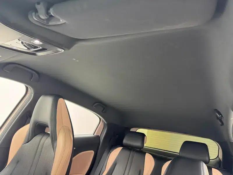Seagull 2025 305KM Vitality Edition — миниатюра 24