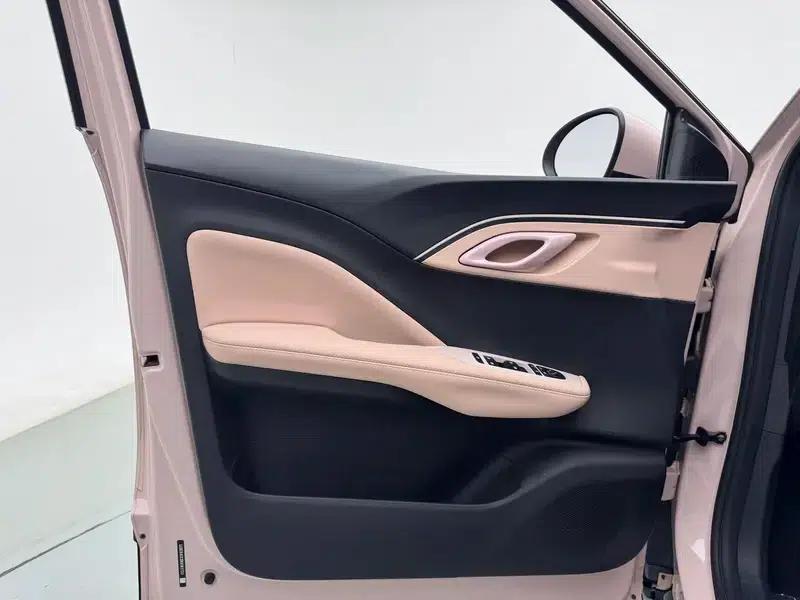 Seagull 2025 305KM Vitality Edition — миниатюра 25