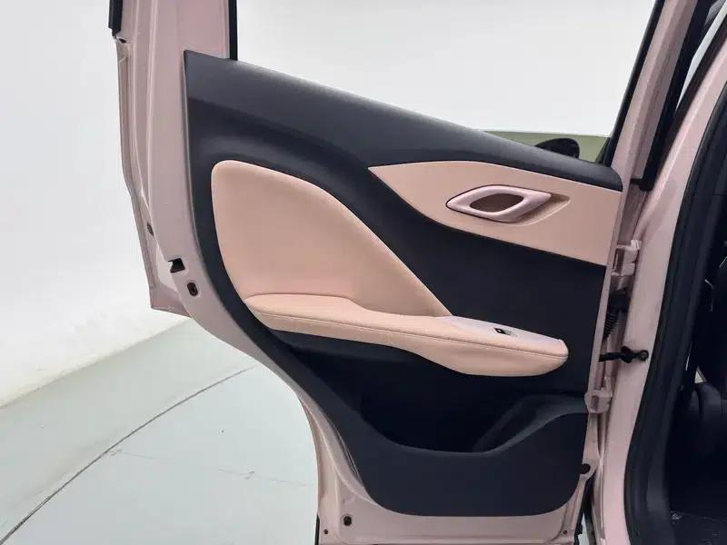 Seagull 2025 305KM Vitality Edition — миниатюра 27