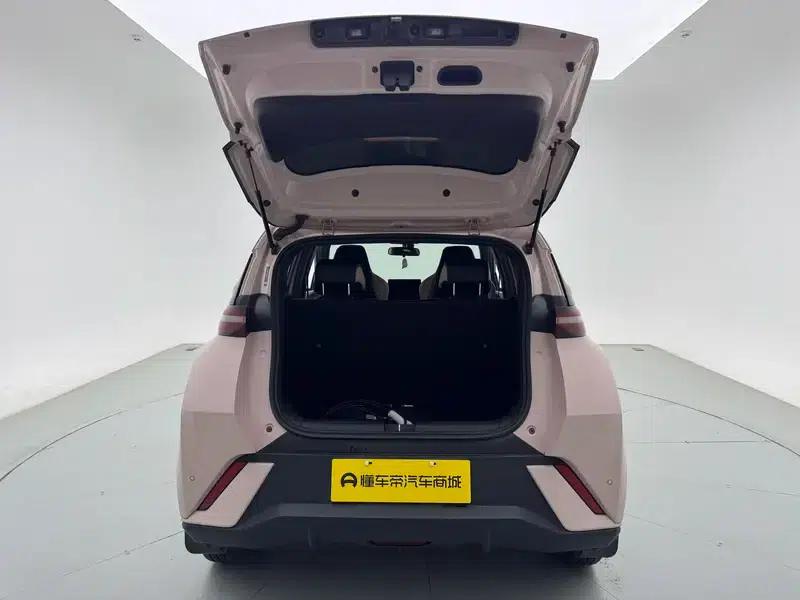 Seagull 2025 305KM Vitality Edition — миниатюра 28