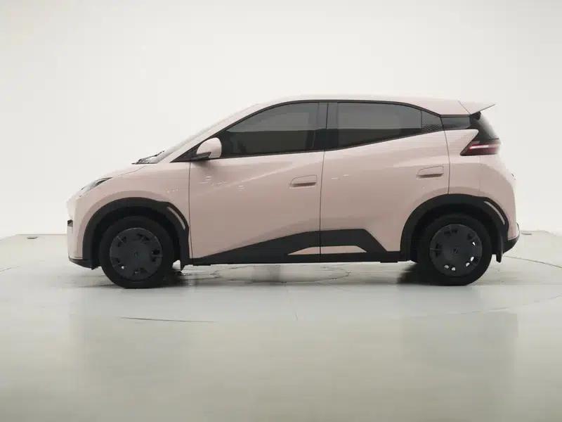 Seagull 2025 305KM Vitality Edition — миниатюра 4