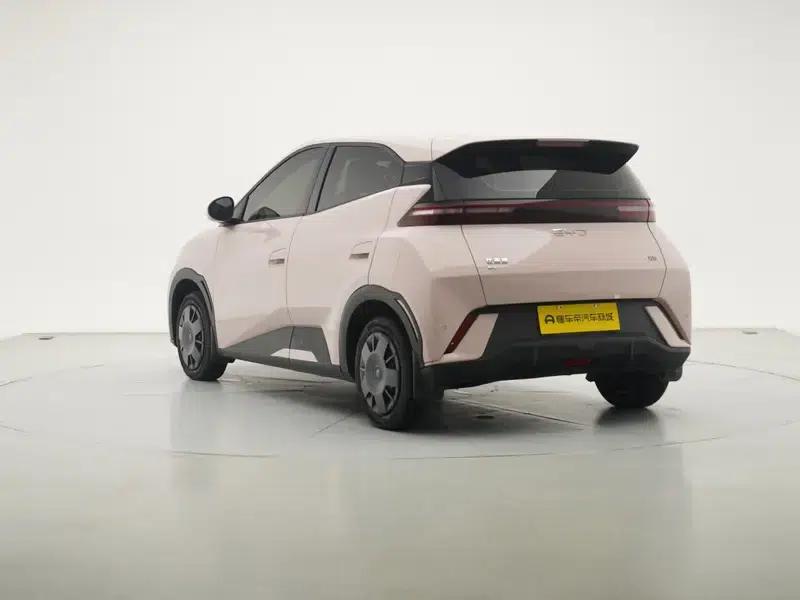 Seagull 2025 305KM Vitality Edition — миниатюра 5