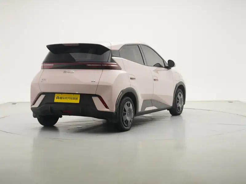 Seagull 2025 305KM Vitality Edition — миниатюра 7