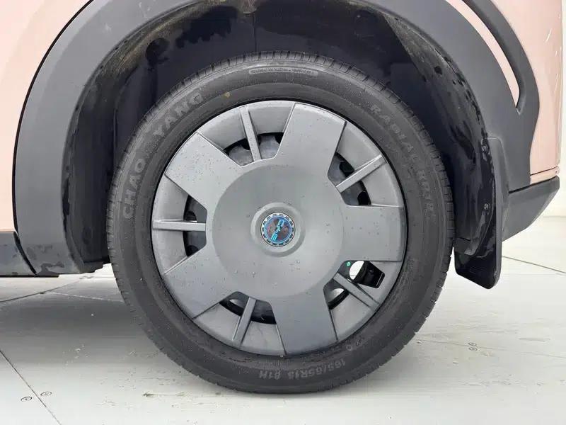 Seagull 2025 305KM Vitality Edition — миниатюра 9