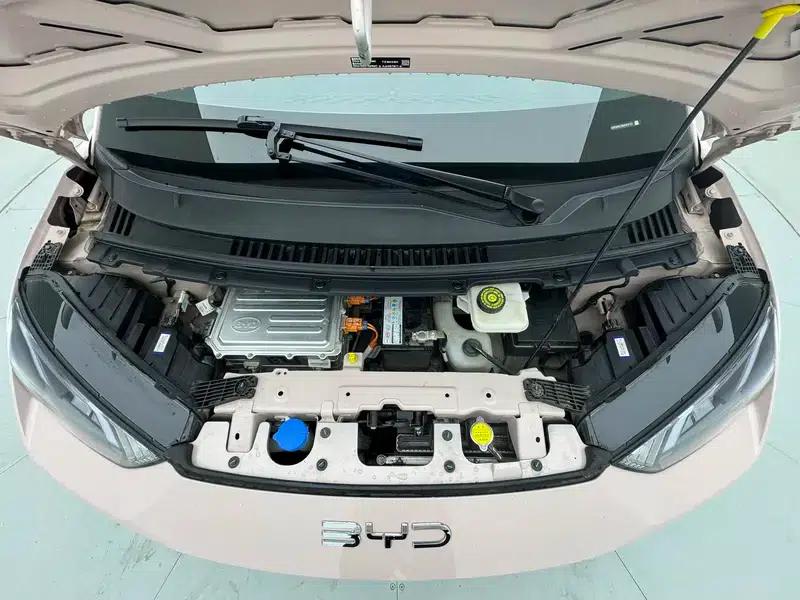 Seagull 2025 305KM Vitality Edition — миниатюра 10