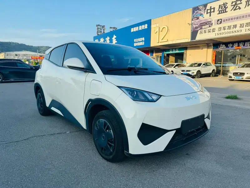 Seagull 2025 305KM Vitality Edition — миниатюра 3