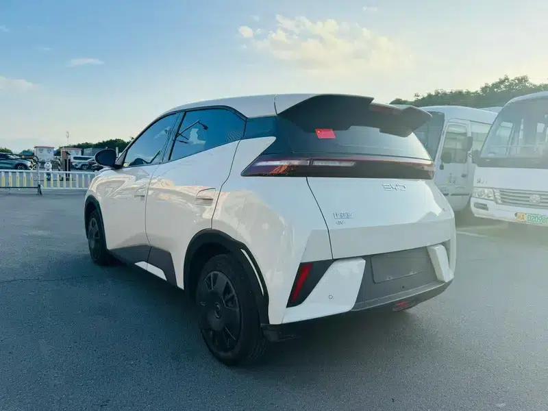 Seagull 2025 305KM Vitality Edition — миниатюра 4