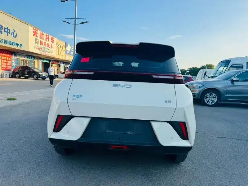 Seagull 2025 305KM Vitality Edition — миниатюра 5