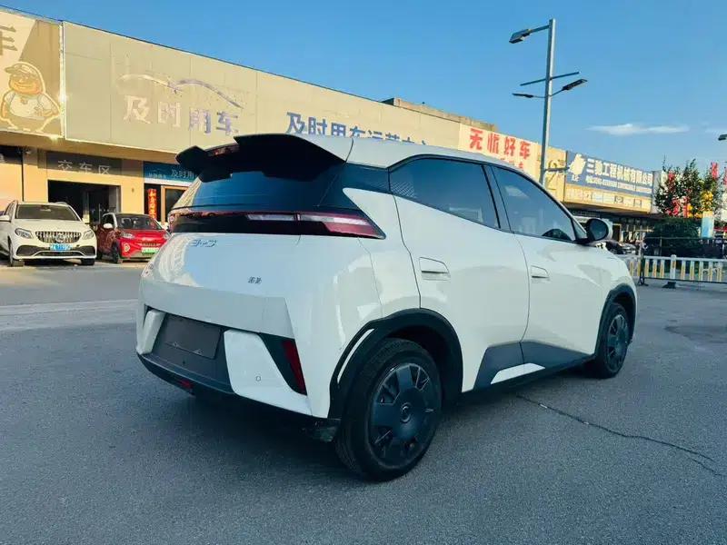 Seagull 2025 305KM Vitality Edition — миниатюра 6