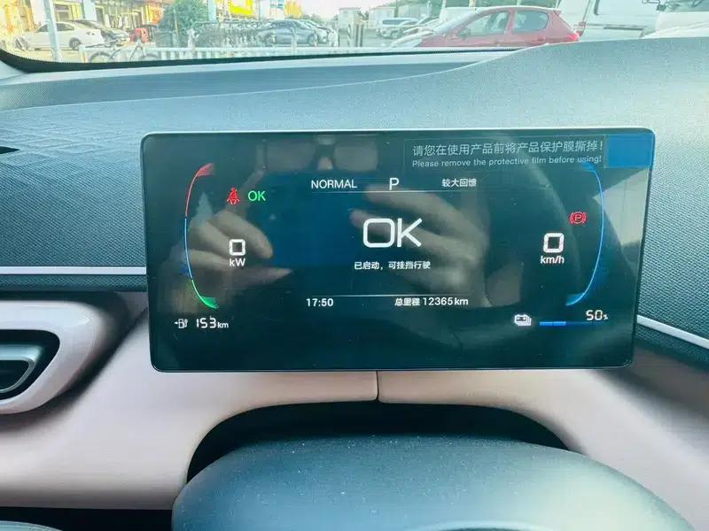 Seagull 2025 305KM Vitality Edition — миниатюра 7