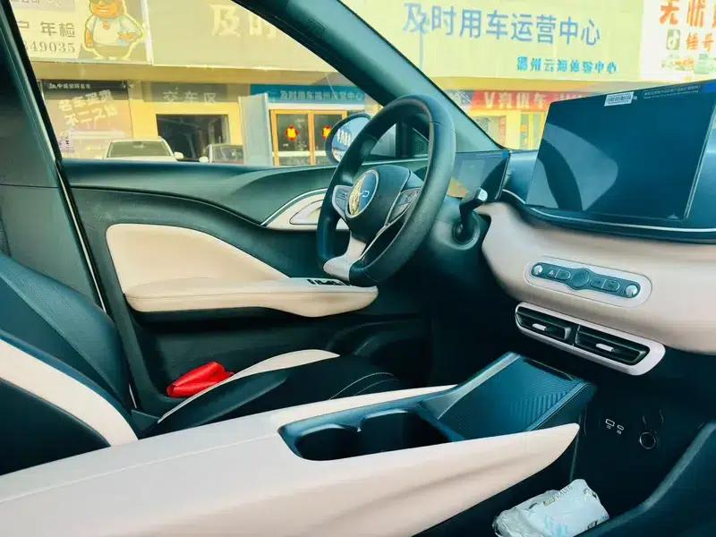 Seagull 2025 305KM Vitality Edition — миниатюра 8