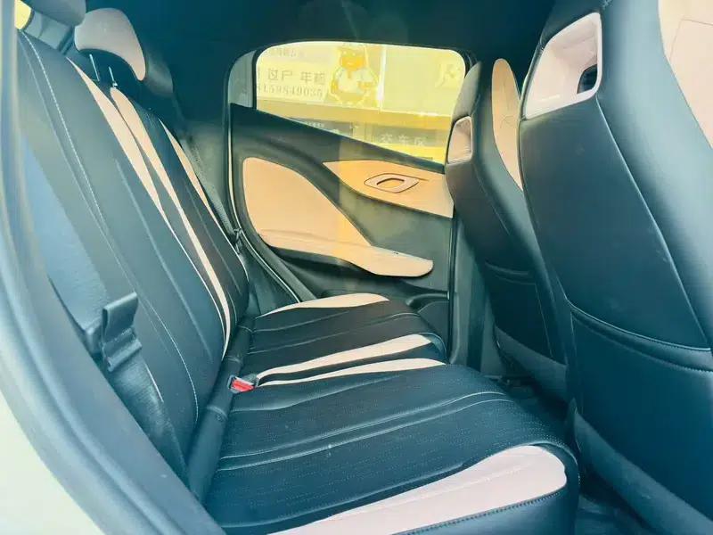 Seagull 2025 305KM Vitality Edition — миниатюра 9
