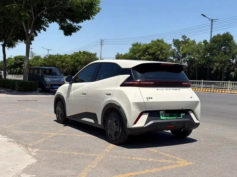 Seagull 2023 Freedom Edition — миниатюра 4