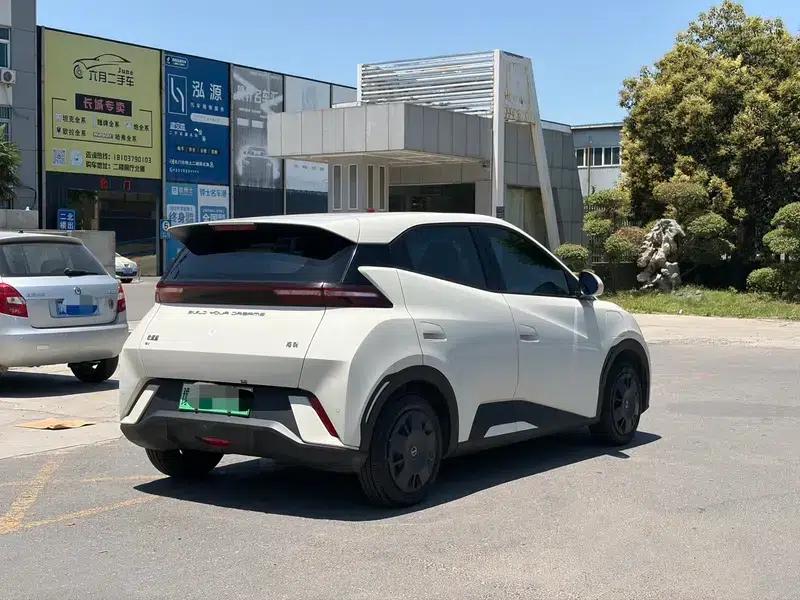 Seagull 2023 Freedom Edition — миниатюра 6