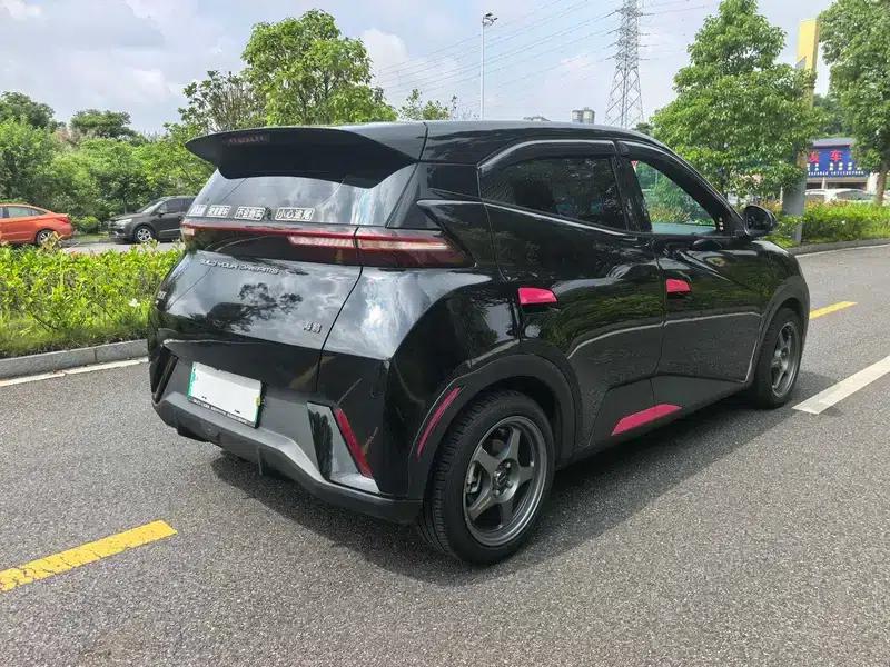 Seagull 2023 Freedom Edition — миниатюра 6