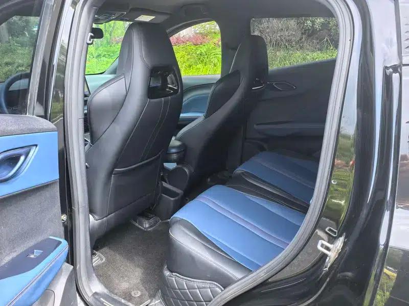 Seagull 2023 Freedom Edition — миниатюра 9