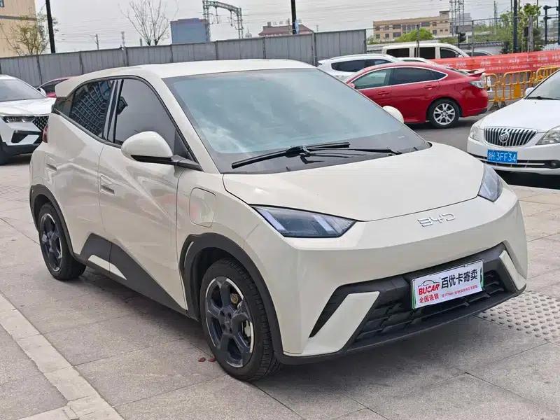 Seagull 2023 Freedom Edition — миниатюра 3