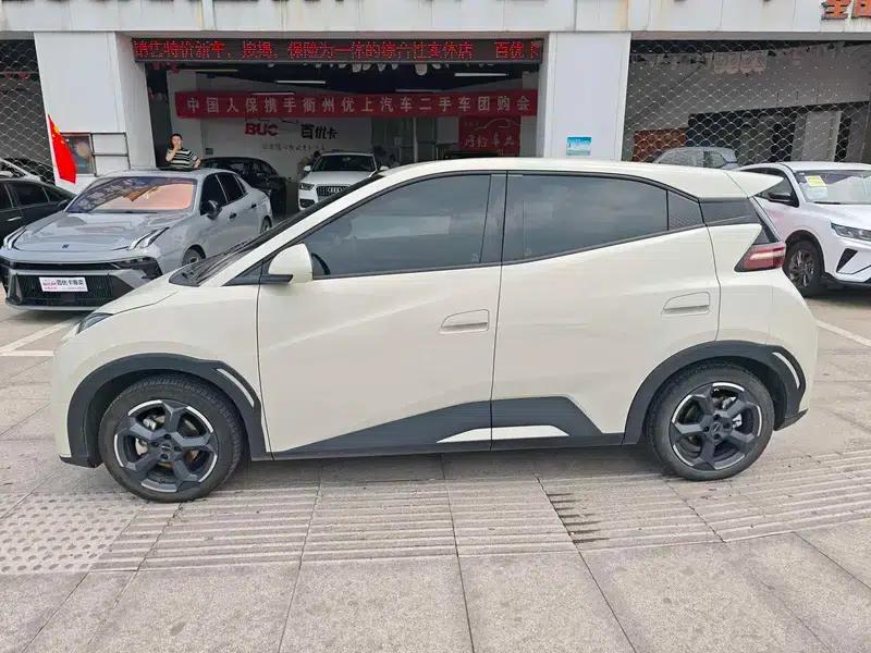 Seagull 2023 Freedom Edition — миниатюра 4
