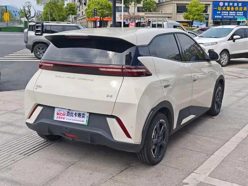 Seagull 2023 Freedom Edition — миниатюра 6