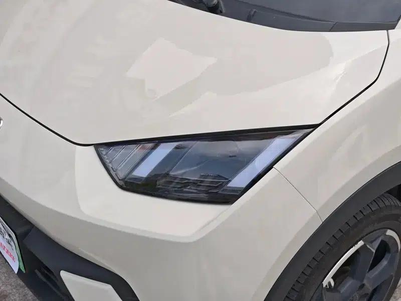 Seagull 2023 Freedom Edition — миниатюра 7