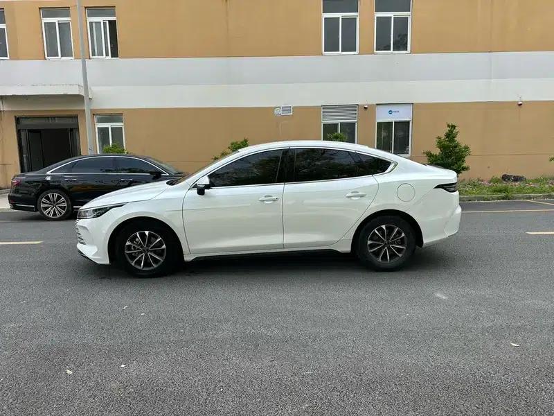 Destroyer 05 2023 DM-i Champion Edition 55KM Luxury — миниатюра 3