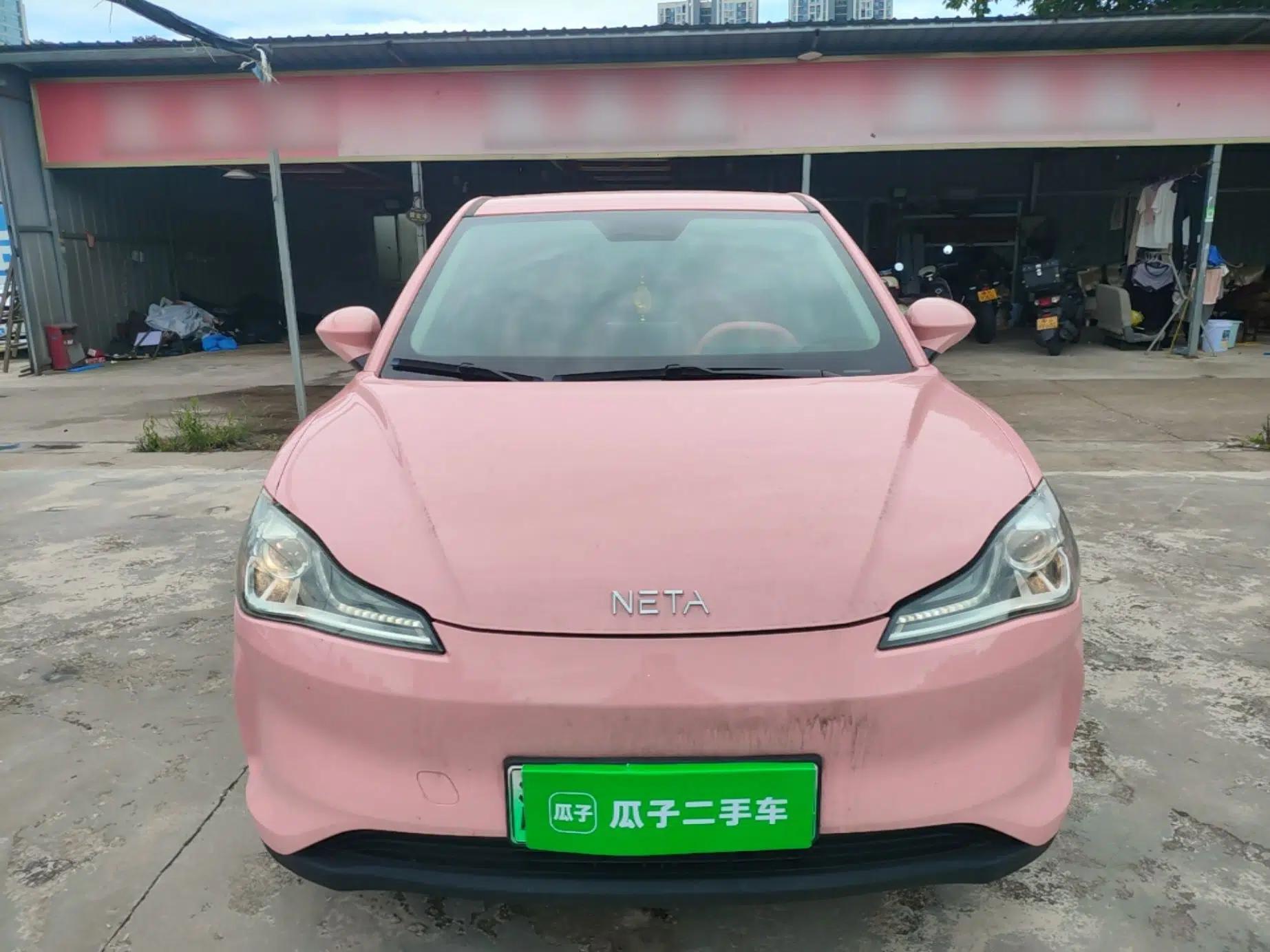 NETA V 2022 Chao 400 Lite Pink Custom Edition — миниатюра 2