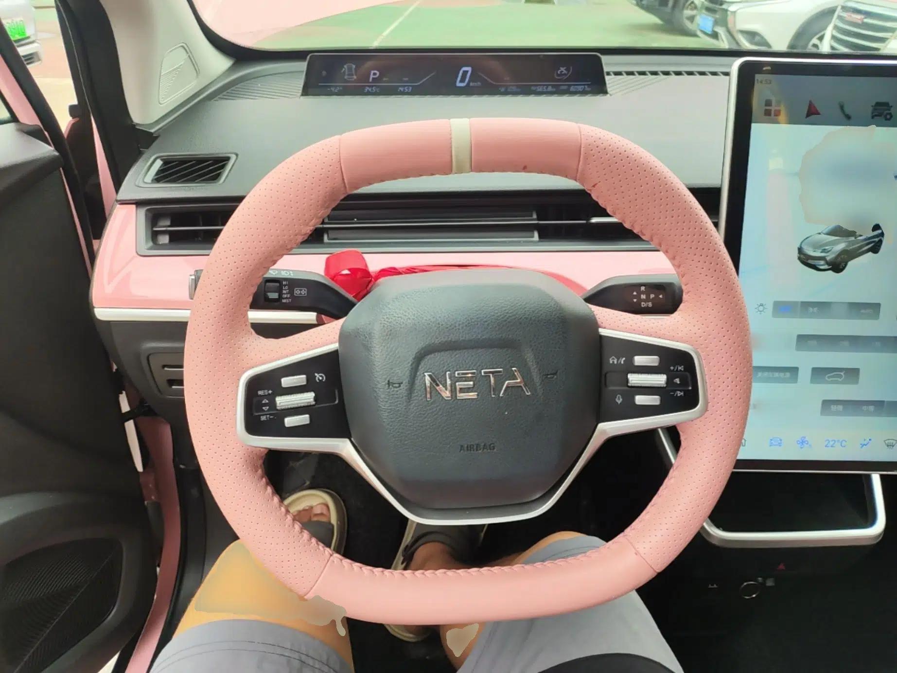 NETA V 2022 Chao 400 Lite Pink Custom Edition — миниатюра 13