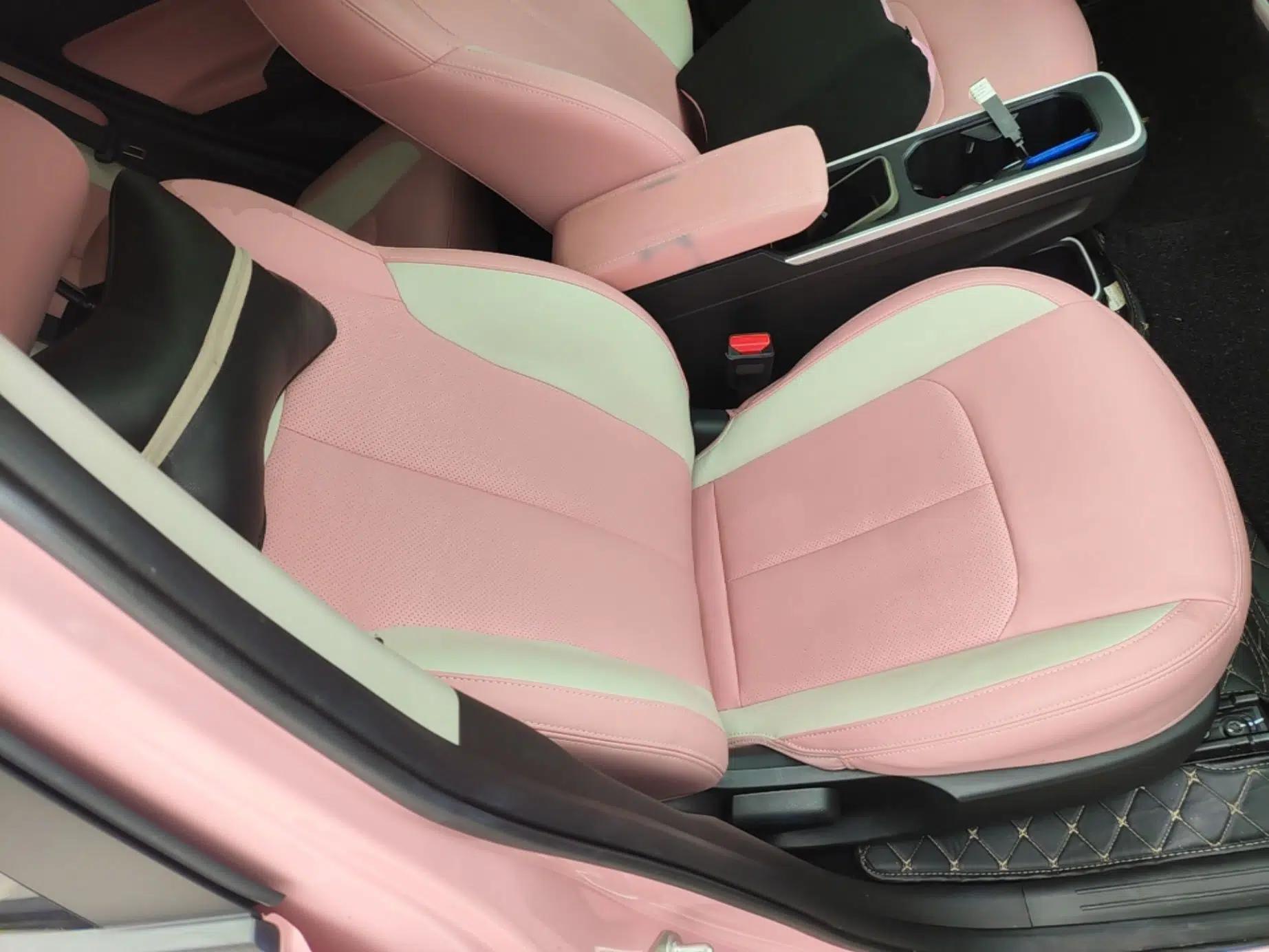 NETA V 2022 Chao 400 Lite Pink Custom Edition — миниатюра 19