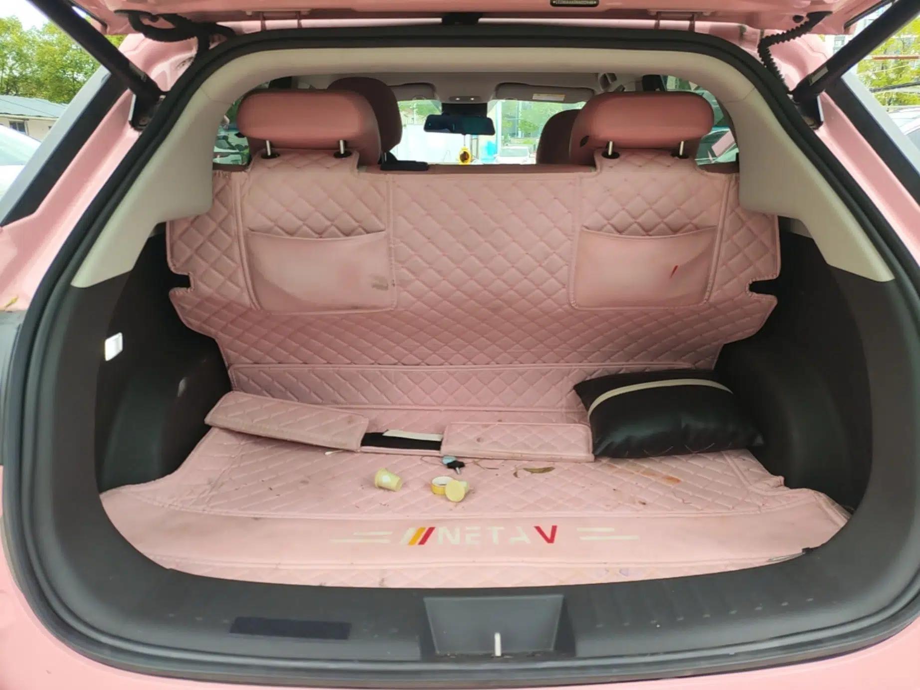 NETA V 2022 Chao 400 Lite Pink Custom Edition — миниатюра 22