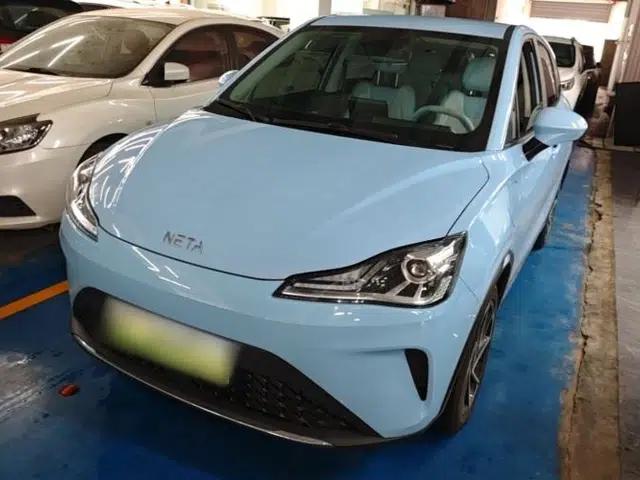 NETA AYA 2023 Revised Version 401 Lite