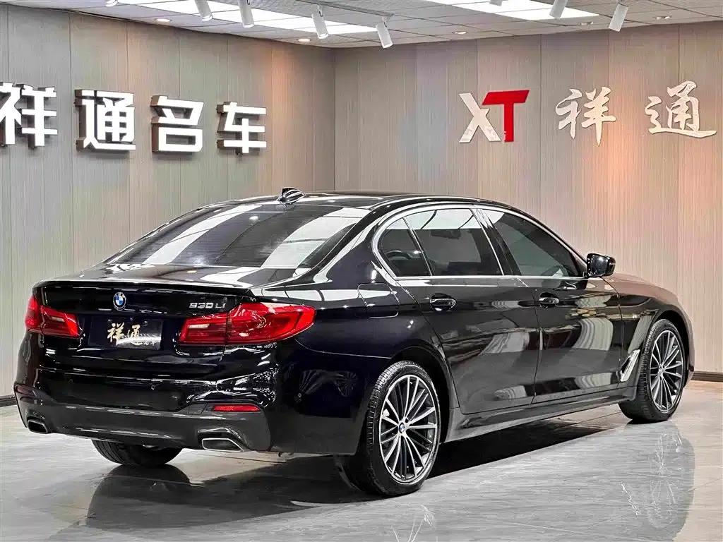 2020 BMW 5 Series 530Li Luxury M Sport Package — миниатюра 5