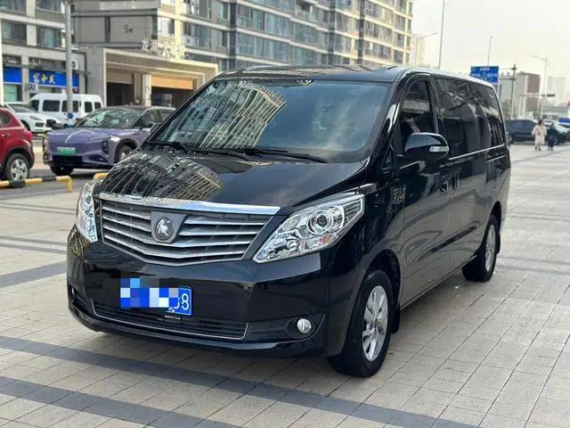 Lingzhi PLUS 2021 Commercial Edition 2.0L Manual Standard 7-Seater