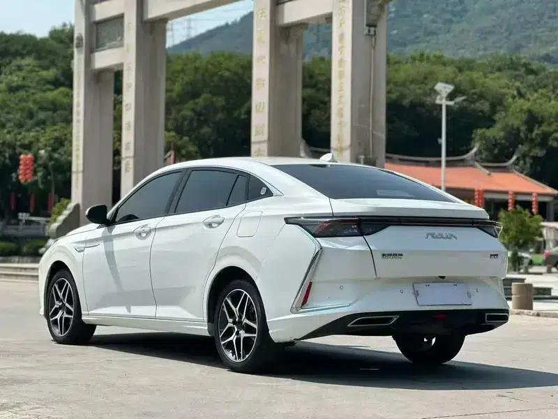 Aeolus Yixuan 2021 230T Automatic Glory Edition — миниатюра 4