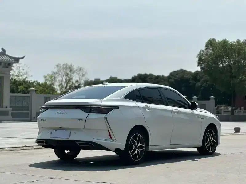 Aeolus Yixuan 2021 230T Automatic Glory Edition — миниатюра 6